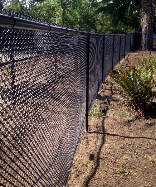Top 102+ Pictures Pictures Of Black Chain Link Fence Superb