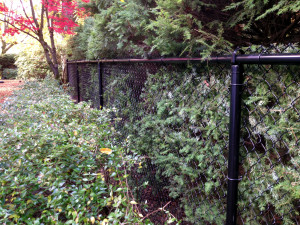 Chain-Link Fence Black Powder-Coated